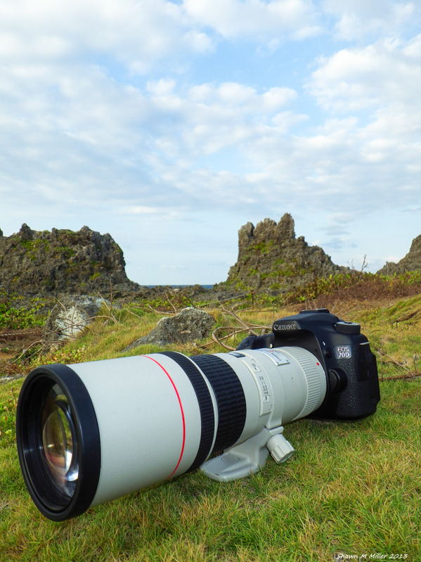Canon EF 400mm f/5.6L USM Lens – Birds Of Okinawa | Okinawa Nature