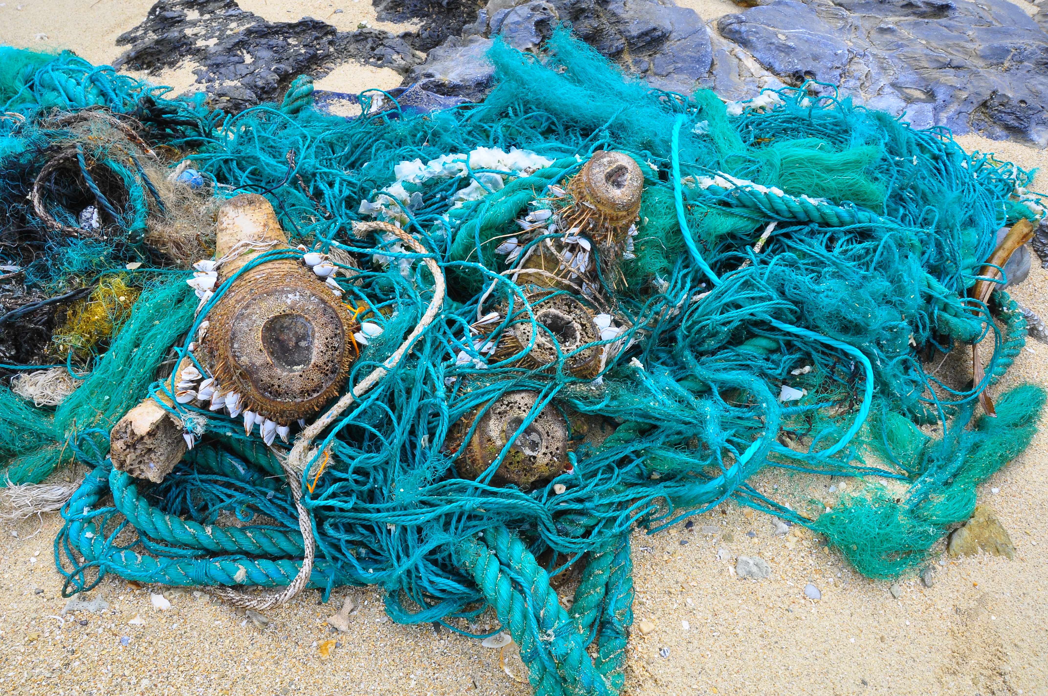 Ocean Pollution Ropes plastic pollution of the Ryukyu Islands | Okinawa Nature Photography